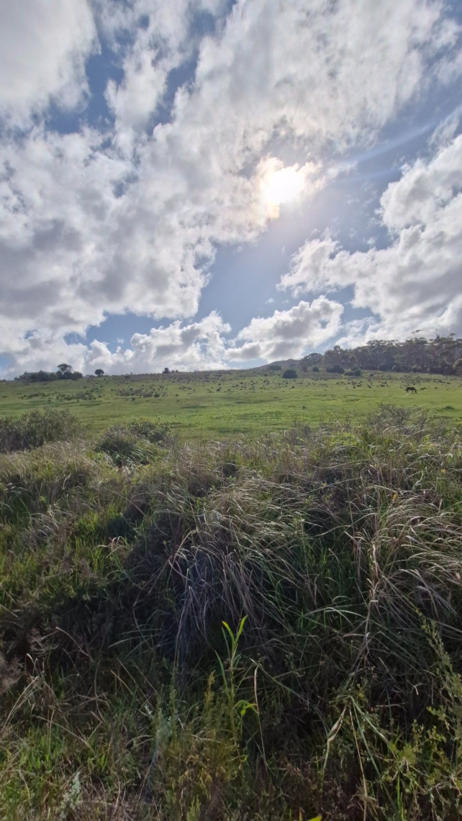 Commercial Property for Sale in Baardskeerdersbos Western Cape